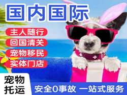 大同机场物流国际宠物托运 【国